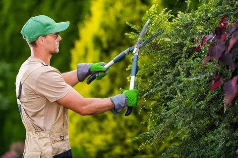 Trimming